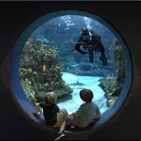 Meet Your Posher, Jen. - Picture 4 of 7